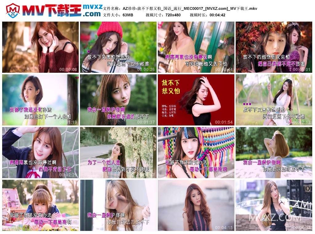 AZ珍珍-放不下想又怕_国语_流行_MEC00017